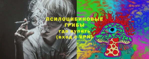 COCAINE Богородск