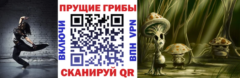 Галлюциногенные грибы Magic Shrooms  магазин продажи наркотиков  Оха 